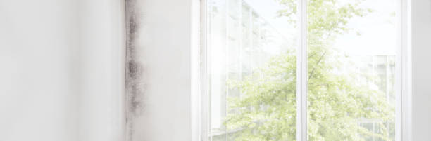 Best Indoor Air Quality Assessment  in Garden City, SC